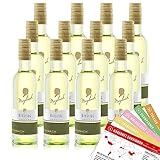 Maybach Riesling QbA, trocken, sortenreines Weinpaket + VINOX Winecards (12x0,25l)