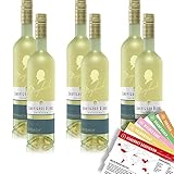 Maybach Sauvignon Blanc QbA, feinherb, sortenreines Weinpaket + VINOX Winecards (6x0,75l)