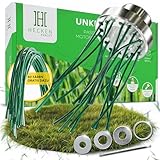Heckenpracht® Profi Nylon Unkrautbürste für Freischneider klein | inkl. gratis 42x strapazierfähiger Nylon-Faden | Wildkrautbürste für Motorsense | 25,4mm Bohrung | Freischneider Zubehör