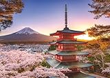 Ravensburger Puzzle 12000582 - Kirschblüte in Japan - 1000 Teile Puzzle für Erwachsene und Kinder ab 14 Jahren,