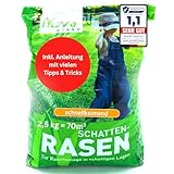 Rasensamen schnellkeimend Schattenrasen 2,5kg = 70m² Herbst - SEHR GUT getestet - trockenresistent | Rasen Reparatur, Rasen Nachsaat, Neuansaat