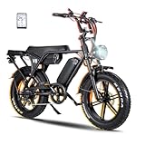VOMO 20-Zoll E-MTB mit 250W Motor & 48V/30Ah Akku | Bis zu 100 km Reichweite | 7-Gang Schaltung & hydraulische Scheibenbremsen | Ideal für Stadt & Gelände | Starkes E-Bike für Erwachsene
