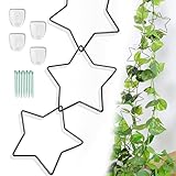 GUAHKUN Rankhilfe Zimmerpflanzen 20 Stück Edelstahl Rankgitter Rund Kletterpflanzen Set mit Wandhaken und Bindern für Monstera Efeu Rosen Indoor Outdoor