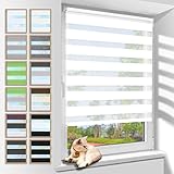 Zarnan Doppelrollo Klemmfix ohne Bohren Weiß 80x110cm(Stoffbreite 76cm) Duo Rollo Blickdicht Zebrarollo Rollos für Fenster ohne Bohren für Wohnzimmer Küche Büro lichtdurchlässig und verdunkelnd