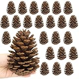 Larber 24 Stück Tannenzapfen Groß,11-10cm Kiefernzapfen,Zapfen zum Basteln für Weihnachtsbaum,Weihnachten,Tisch,Adventskranz