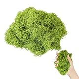 WANGENPING 100g kunstmoos Deko, Kunstmoos zum Basteln, Konserviert Bastelmoos, Moos Getrocknet Kunst, Künstliches Moosbild, für Wand Krippe Aquarium Krippe Modellbau Dekoration Neujahr Heimdekoration