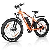 VARUN E Bike, 26 Zoll E-Bike Fatbike mit 4.0 Zoll Reifen, 250W Motor (55Nm) 48V13Ah Akku, 5 Fahrstufen, 100-120 km Reichweite E-Mountainbike für Herren Damen mit LCD-Display