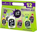 Kleiner Feigling Mix-Paket | 12FreundeMix | Fussball-EM | mit Anti-Stress-Ball | 12 x 20ml | Mit 6 Minis verschiedenen Sorten