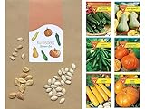 Gemüse Samen Set: Samen-Sortiment / 3 Kürbissorten und 3 Zucchinisorten/Zucchini Black Beauty/Zuchini Partenon F1, Mehrfarbig, BU12