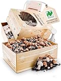 Mjko® BIO Champignon Pilze züchten Set M – Komplettes Pilzzuchtset für Zuhause, frische Champignons selber züchten, Perfekt für Anfänger & Profis, Pilzbrut für braune & weiße Champignons, 2 Boxen