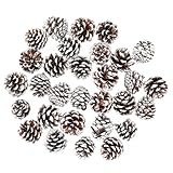 Tannenzapfen, 30pcs Weihnachten Tannenzapfen,2-3cm Natürliche Mini Tannenzapfen mit Weißer Anstrich, Natur Kiefernzapfen Deko für Weihnachtsdeko Weihnachtsbaum Herbst Winter Dekoration