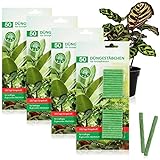 COM-FOUR® 200x Düngestäbchen für Grünpflanzen, ausgewogener Pflanzendünger, für gesundes und kräftiges Wachstum ohne Überdüngung
