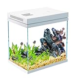 10L Fischtank Nano Glas Wassermann Set mit Licht und Filter System, Aquarium, wasserdichte und spülmittelfreie Ausführung (10L)