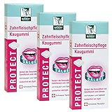 BADERs PROTECT Zahnfleischpflege Kaugummi aus der Apotheke. Mit Kräutern, Salbeiöl und Xylit. Vorteilspack 3 x 20 Stück. Pharmazentralnummer M04928615. Schweizer Produkt.