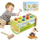 Forhome Montessori Spielzeug Hammer Spiel, Spielzeug Lernspielzeug mit 1 Hammer, Klopfspiel, Montessori Spielzeug ab 2 3 4 Jahren, Gutes Geschenk für Baby Kleinkinder