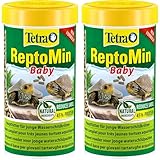Tetra ReptoMin Baby Schildkröten-Futter - Futtersticks speziell für sehr Junge Wasserschildkröten, 250 ml Dose (Packung mit 2)