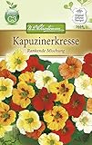 N.L. Chrestensen 5654 Kapuzinerkresse Rankend (Kapuzinerkressesamen)