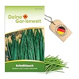 Schnittlauch Medium Leaf Samen - Allium schoenoprasum - Schnittlauchsamen - Kräutersamen - Saatgut für 300 Pflanzen