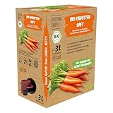 Bio Karottensaft 3 Liter Box - Aus deutschen und niederländischen Karotten - Vegan, leuchtend-orange Farbe, mit Spezialkulturen fermentierter Gemüsesaft