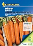 Kiepenkerl Profi-Line Möhrensamen Nominator PowerSaat - Saatgut für 500 Pflanzen Samen - Gemüsesamen - Möhren - Möhrensaatgut - Gemüse Saatgut - Möhrensaat - Karotten Samen - Karottensamen - Karotten