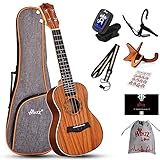 Winzz Ukulele Erwachsene Konzert, Ukulele Kinder 23 Zoll, Ukulele Anfänger Set mit Ukuleleständer et Kapodaster (Mahagoni,Matt)