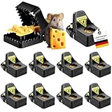 10er Set Mausefallen, Profi Mäusefalle Schlagfalle Rattenfalle, Wiederverwendbar Mausefalle mit Köder, Kleine Mausefalle Schlagfalle, Robust und Langlebig Mäusefalle, Mouse Trap für Haus und Garten