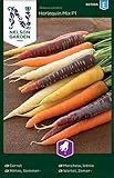 Möhren Samen Mix Harlequin F1 - Nelson Garden Gemüse Saatgut - Karotten Samen (300 Stück)(Möhre, Sommer-, Harlequin Mix F1, Einzelpackung)