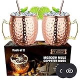 LIVEHITOP Moscow Mule Kupfer Becher Set of 2,19.5 Oz Kupferbecher mit Untersetzer for Cocktail, Wein, Kaltes Getränk, Bar, Party, Geschenk