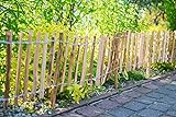 Sevico Staketenzaun imprägniert Haselnuss Holzzaun Haselnussholz Zaunlatte Rollzaun Kastanienzaun Gartenzaun 50 cm x 5m+ Pflock, Lattenabstand: 7-8 cm