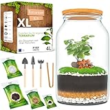 PYEF CRAFTS Flaschengarten Komplettset XL für Ökosystem im Glas - 4L Terrarium Pflanzen für Biotop Im Glas - Biosphäre Terrarium Set - Kit Ohne Pflanze (Flaschengarten Groß 4L)
