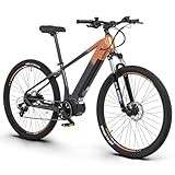VOZCVOX Elektrofahrrad 29 Zoll E Bike Herren Damen 250W Ebike Mountainbike Mittelmotor Kilimanjaro Mit 36V15AH Akku Hydraulische Bremse Drehmomentsensor,9 Gang Schaltung