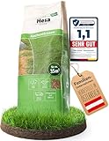 Hesa Nachsaatrasen, 1 kg für 35 m², RSM 3.2, schnellkeimende Premium Rasennachsaat von Frühling bis Herbst, Rasenreparatur in Profiqualität