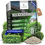 LERAVA® Heckendünger für dichte & kräftige Hecken [Bio mit Zeolith] - 35 Laufmeter - Dünger für Buchsbaum, Thuja, Kirschlorbeer, Koniferen - Sofort- & Langzeitdünger - Buchsbaumdünger