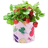 Pflanzsack für Kartoffeln, Pflanzgefäß für , zum Entwässern von Tomaten, Erdbeeren, Karotten, Balkon, Gewächshaus, Terrasse