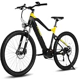 HAOQI Cheetah All-Terrain E-MTB, 250W E-Bike mit, 48V 14Ah herausnehmbarem Doppelakku geländegängiges, 20' x 4' Tire Elektrofahrrad, bis zu 25km/h, Vorderradfederung, E-Bike, 150Kg Nutzlast
