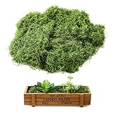 Nuangoo 200g künstliches Moos, Moosdekoration, Craft Kunst Moos, antiseptisches Moos, Moosdeko, Landschaftsgestaltung, für Aquariumwandgestaltung, Rasen, Bonsai