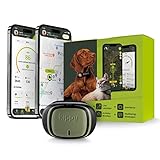 Kippy EVO GPS-Tracker für Hunde/Katzenhalsband, Gesundheits- und Aktivitäts-Tracker, GPS-Tracker für GPS-Halsband für Hunde oder Katzen, wasserundurchlässiger GPS-Tracker mit Sofortwarnungen und LED,