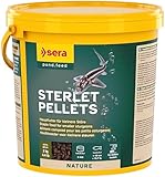 sera Stör Pellets Nature 3,8 Ltr. (2 kg) - Das natürliche Hauptfutter für kleinere Störe, 3.8 l (1er Pack)