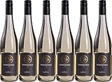 Steinmühle maySECCO 2024 Halbtrocken Bio (6 x 0.75 l)