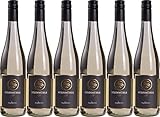 Steinmühle maySECCO 2023 Halbtrocken Bio (6 x 0.75 l)