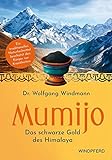 Mumijo – Shilajit: Das schwarze Gold des Himalaya – Ein traditionelles ayurvedisches Naturheilmittel