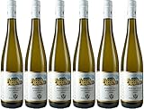 Kanzlerhof Pölicher Riesling Kabinett 2024 Feinherb (6 x 0.75 l)