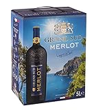 Grand Sud - Merlot aus Süd-Frankreich - Sortentypischer Trocken Rotwein - Großpackungen Wein Bag in Box 5l (1 x 5 L)