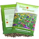 Wildblumenmischung - 100 g Samen für Wildblumenwiese - Saatgut für bunte Blumenwiese