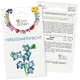 Vergissmeinnicht Samen: Premium Vergissmeinnicht Blumen Samen für ca. 100 blühende Vergiss Mein Nicht Pflanzen mehrjährig – Blumensamen Vergissmeinnicht Saatgut – Vergiss Mein Nicht Samen von OwnGrown