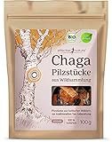 effective nature Bio Chaga Pilz Brocken 100g - Wild geerntet aus estnischen Birkenwäldern - Vegan & Rohkostqualität - Ideal für Premium Chaga Tee & Kaffee