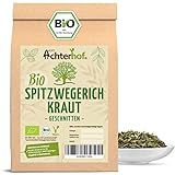 Spitzwegerich getrocknet BIO | 250g | 100% Spitzwegerich Tee ohne Zusätze | vom Achterhof