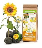 FLORTUS Samenbomben Gelber Sonnenschein (6 Stk.) mit Sonnenblumen Samen | Bienenfreundliche Blumensamen | Gastgeschenke & Mitgebsel Kindergeburtstag