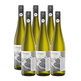 Bio mit Gesicht Riesling Weißwein (6 x 0,75l)