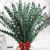 Neuytiky 20 Stück Eukalyptus Getrocknet,Natürliche Trockenblumen Eukalyptus,43cm,Grüner Eukalyptus Pflanze Eukalyptusstiel,für Hochze Home Party Dekoration Tischdeko Blumenarrangement